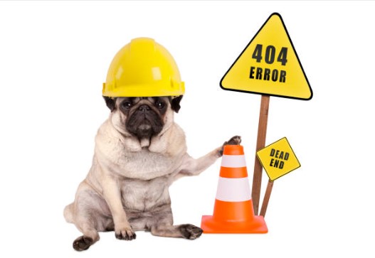 Perrito de 404